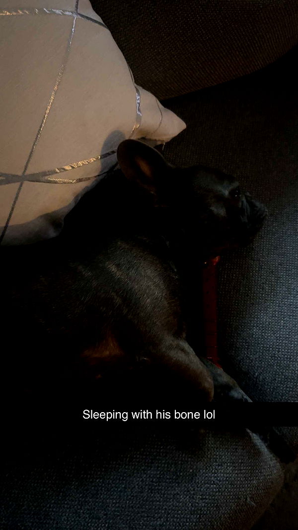 kylaayese image ~ Altpins