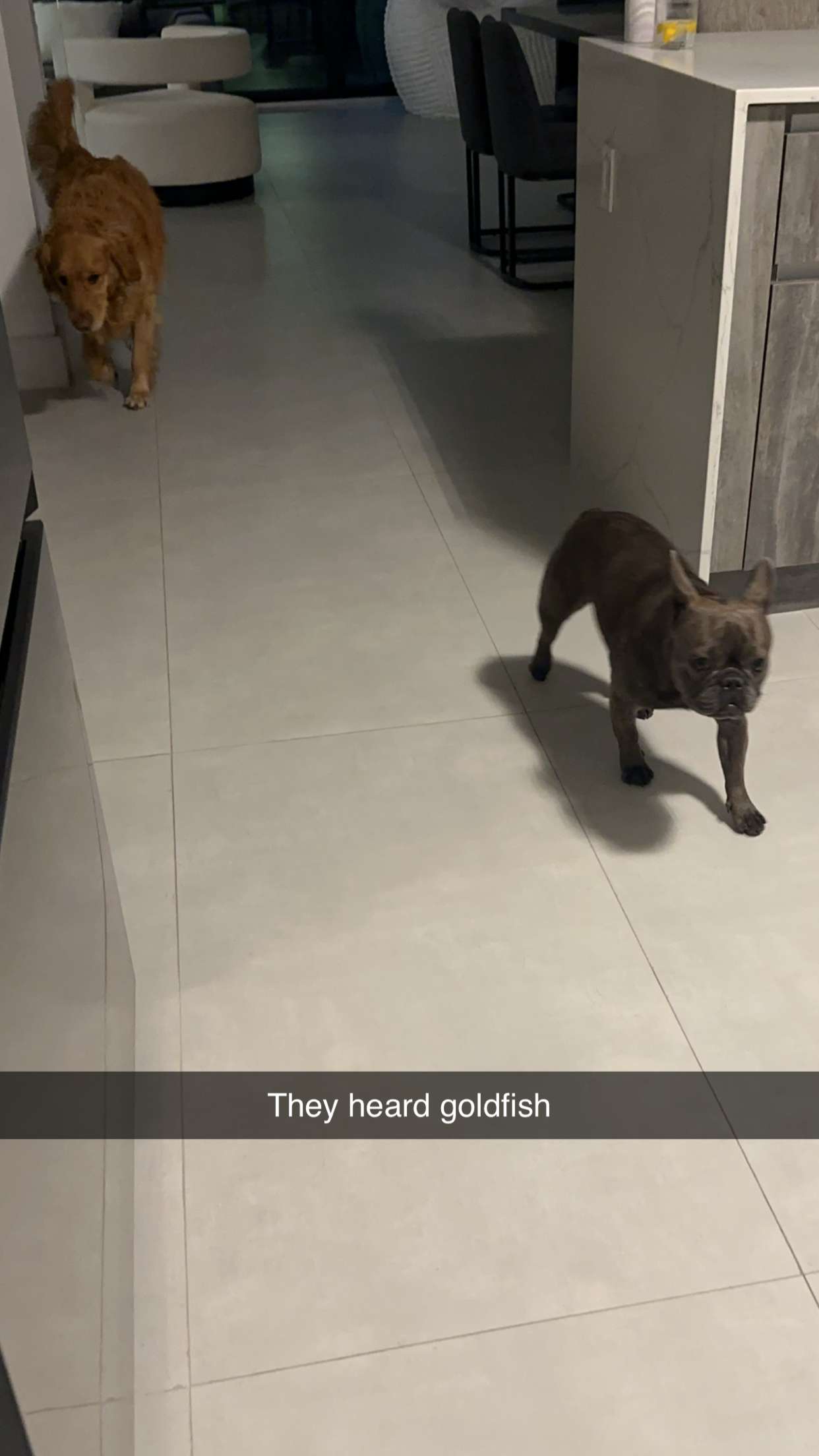 kylaayese snapchat image archive image