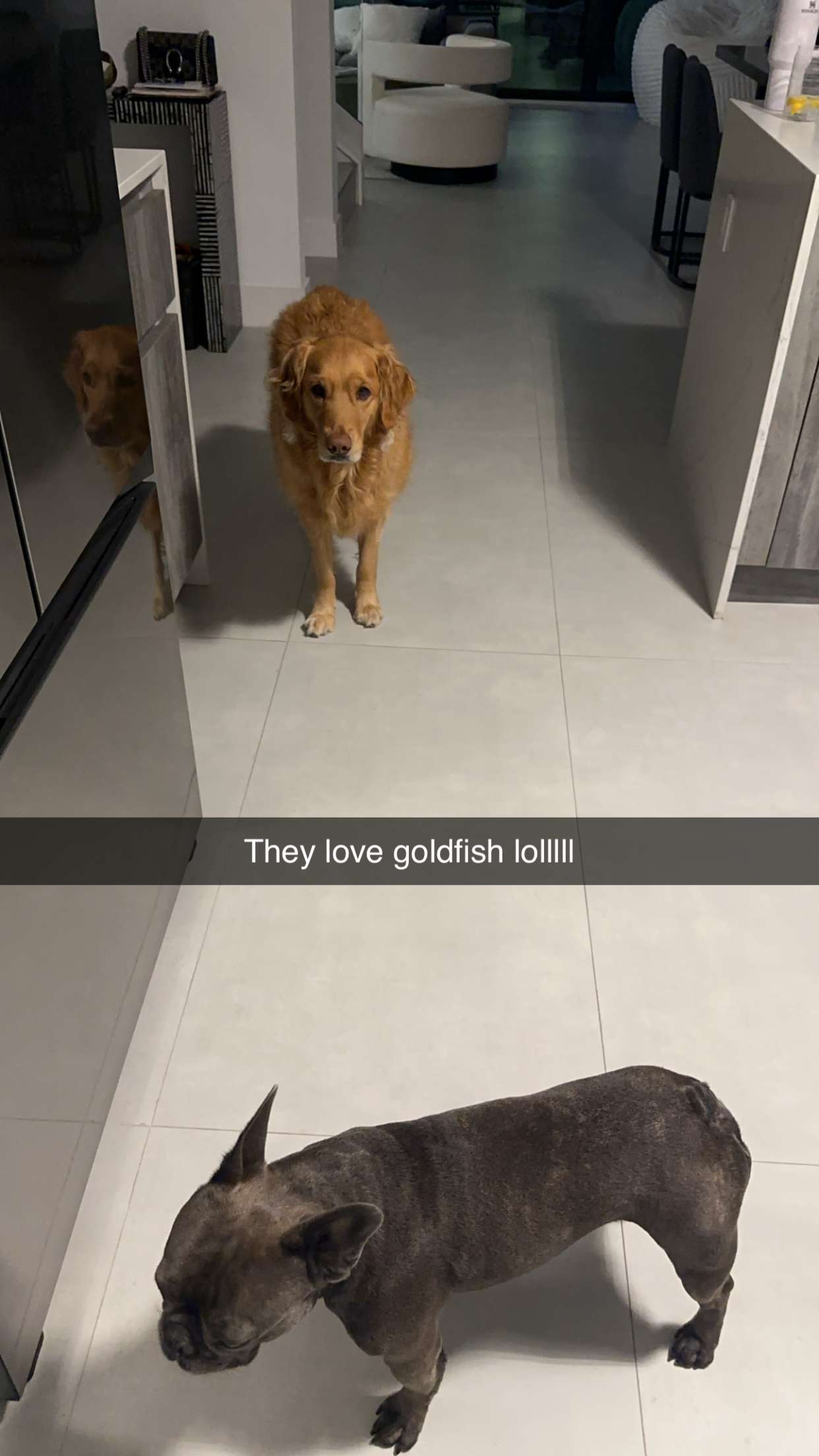 kylaayese snapchat image archive image