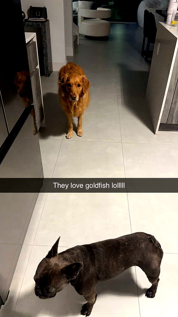 kylaayese image ~ Altpins