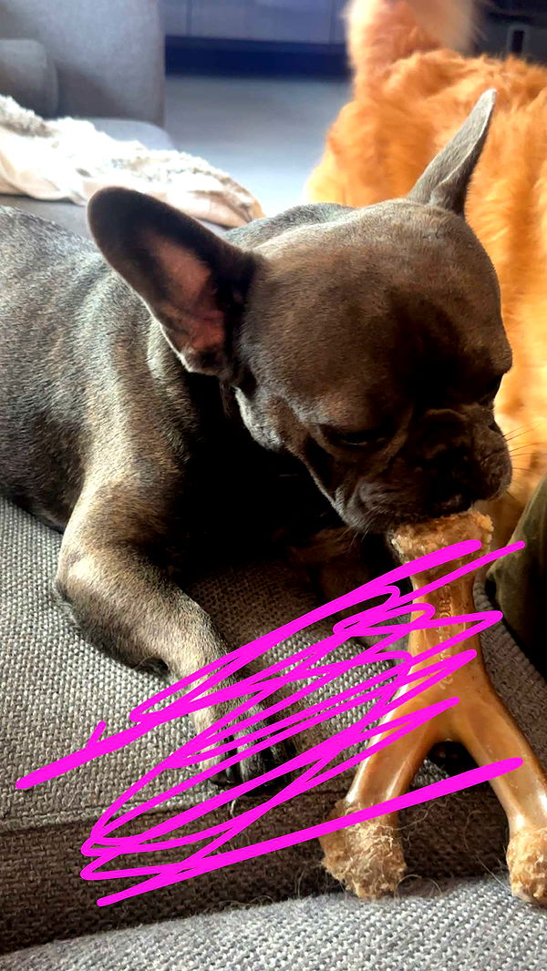 kylaayese image ~ Altpins