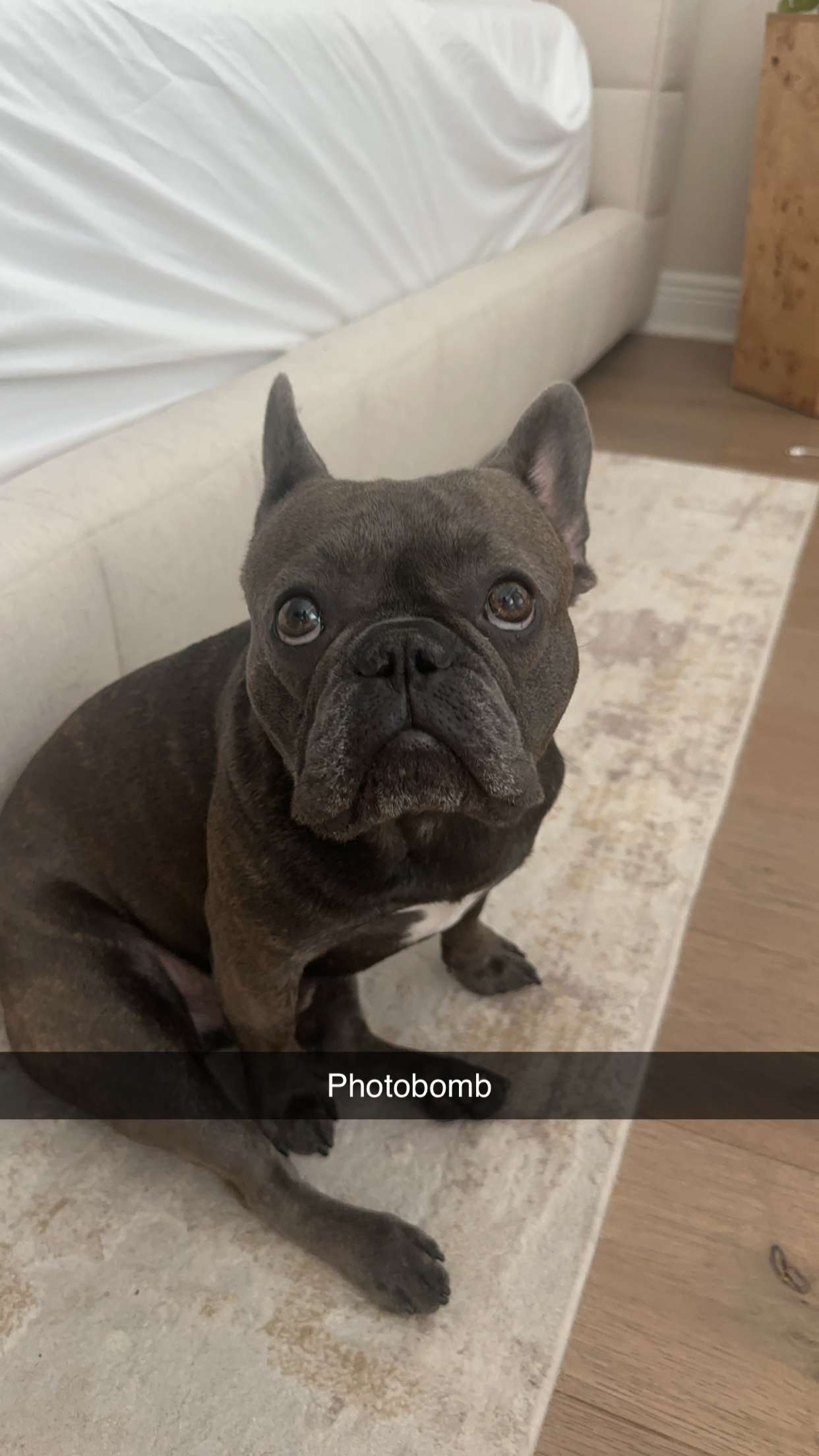 kylaayese snapchat image archive image