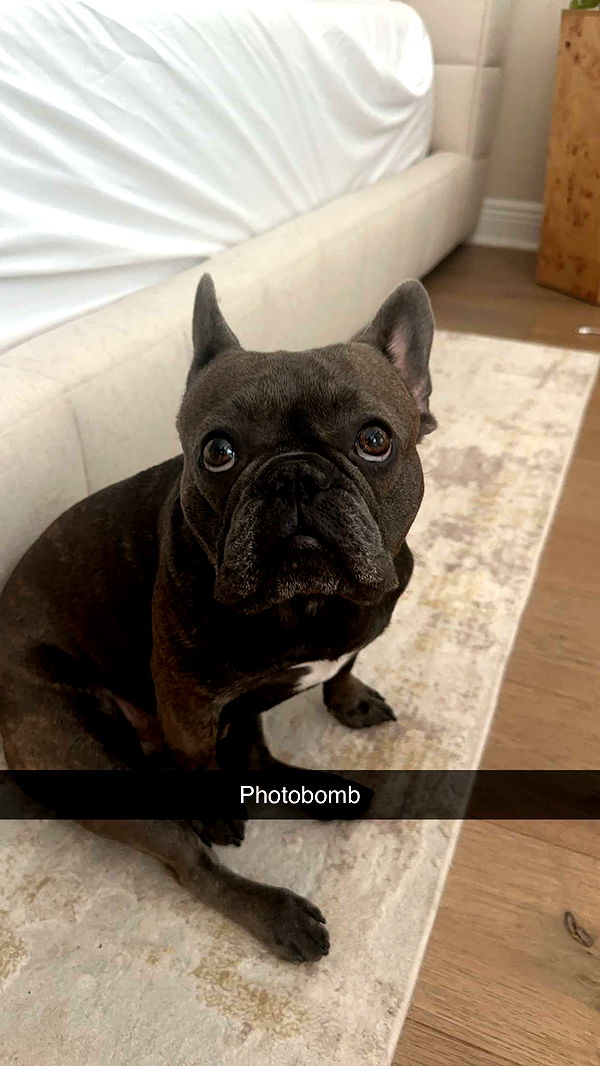 kylaayese image ~ Altpins