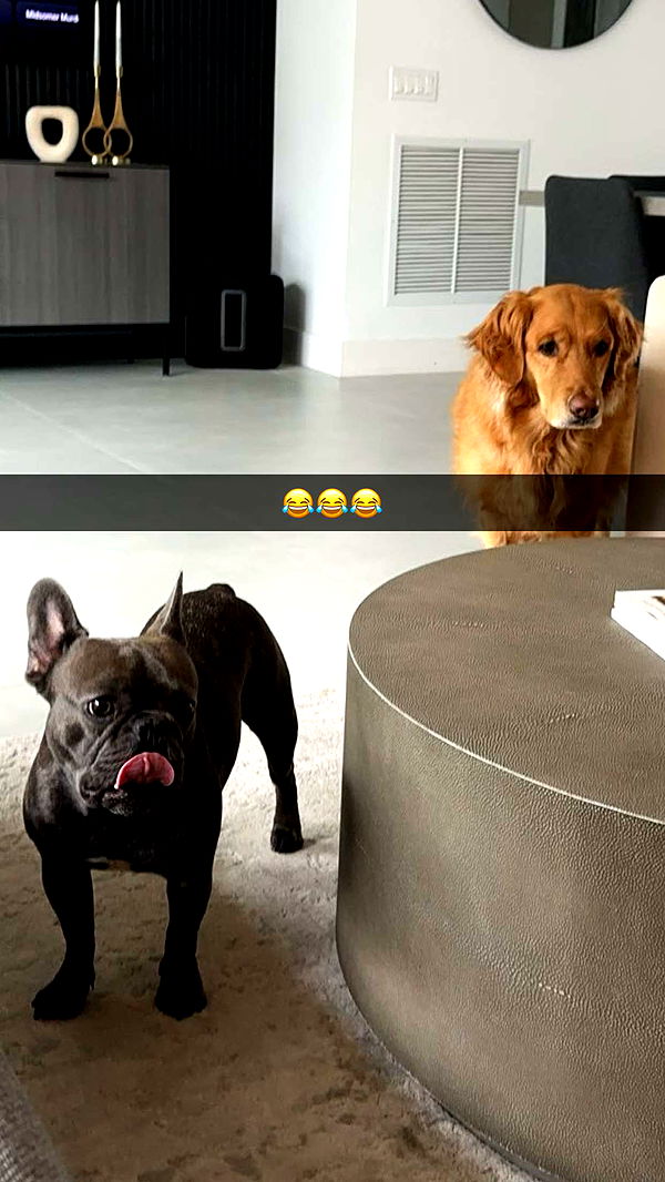 kylaayese image ~ Altpins