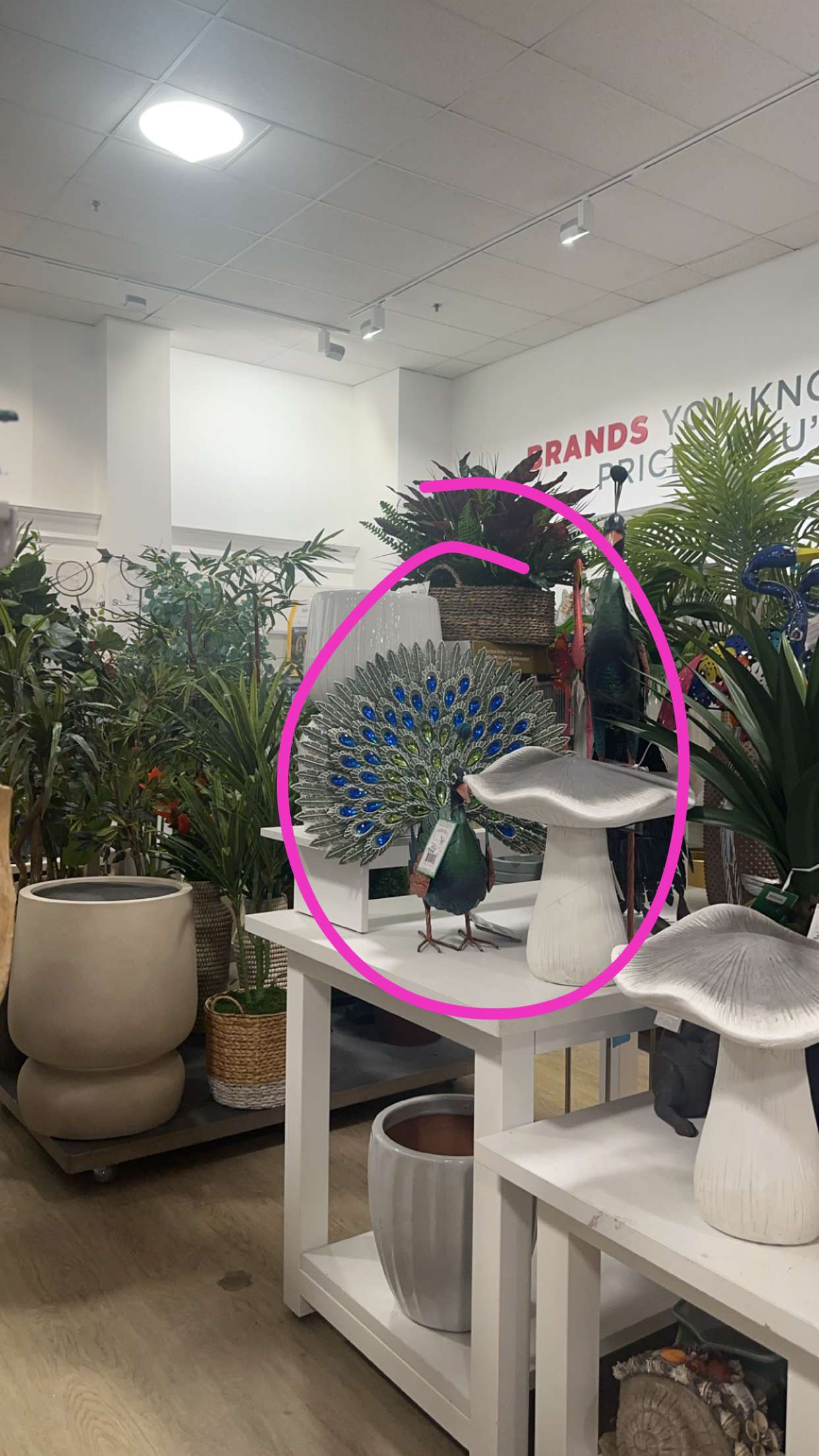 kylaayese snapchat image archive image