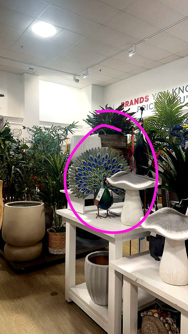 kylaayese image ~ Altpins