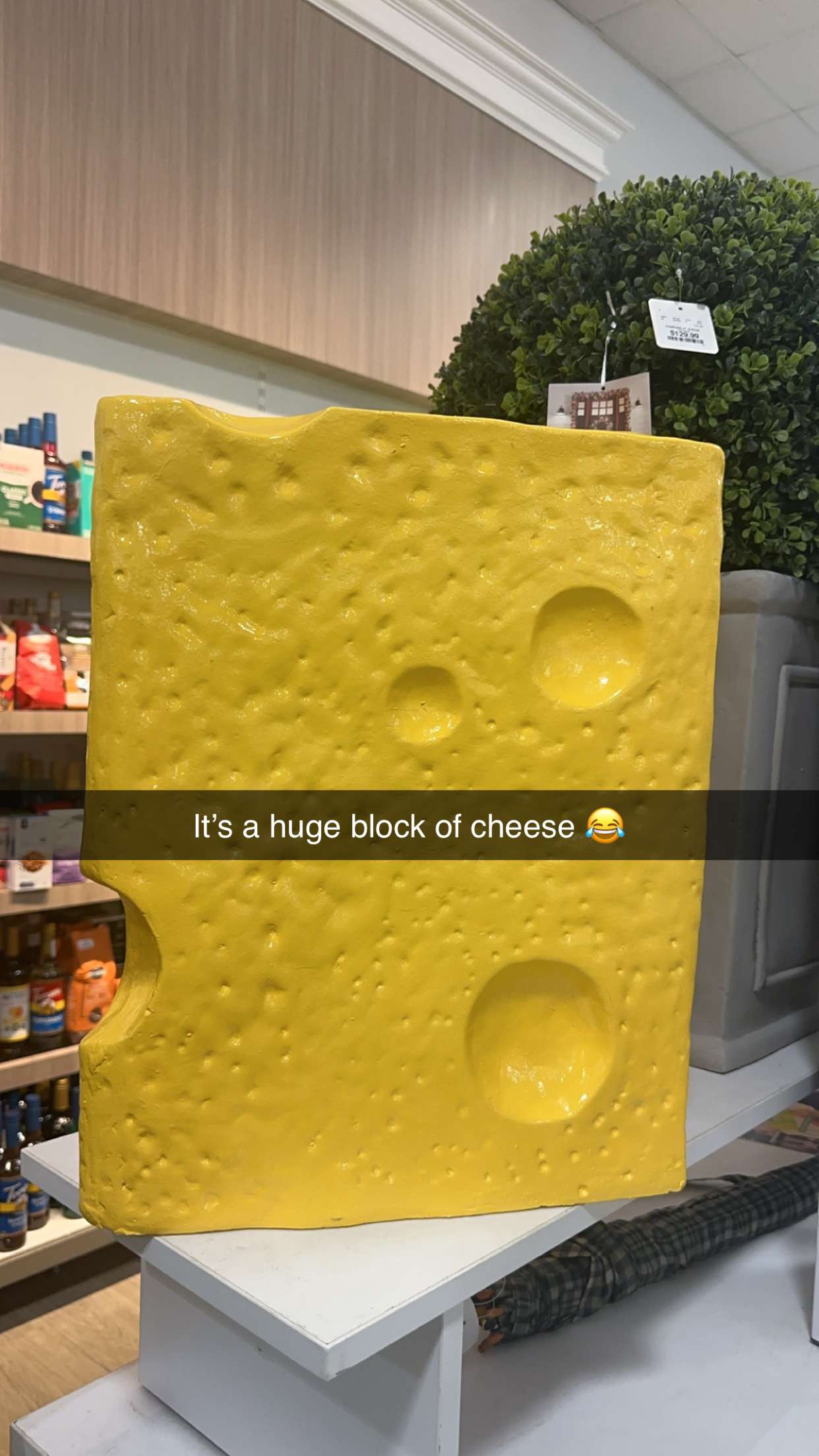 kylaayese snapchat image archive image