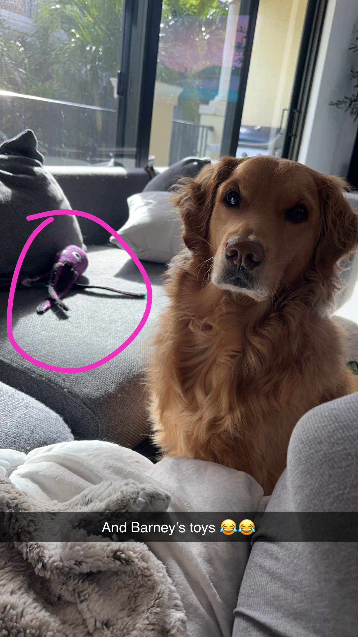 kylaayese snapchat image archive image