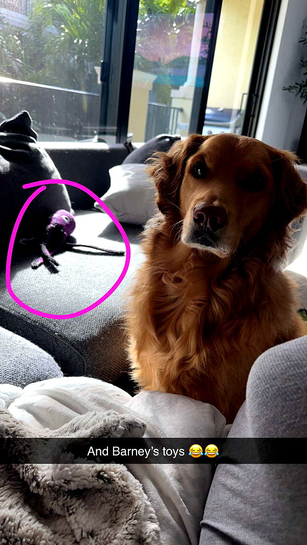 kylaayese image ~ Altpins