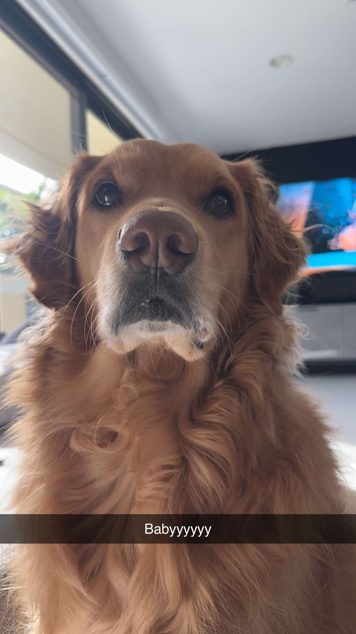 kylaayese snapchat image archive image