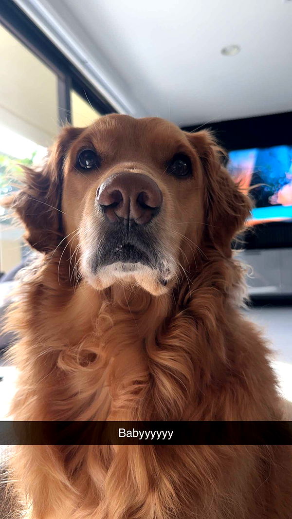 kylaayese image ~ Altpins