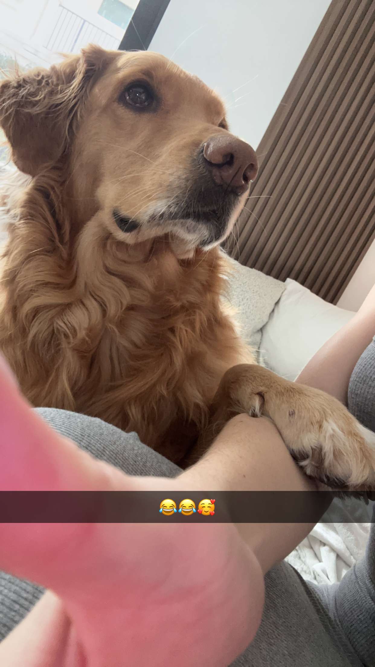 kylaayese snapchat image archive image