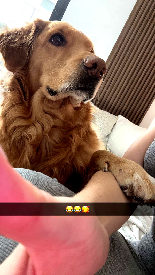 kylaayese image ~ Altpins