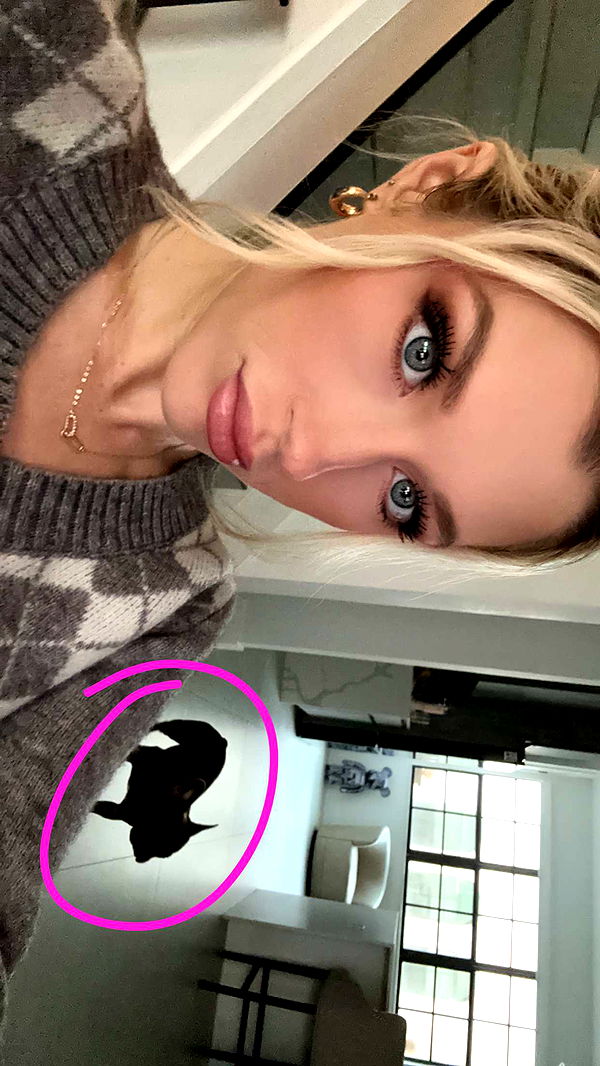 kylaayese image ~ Altpins