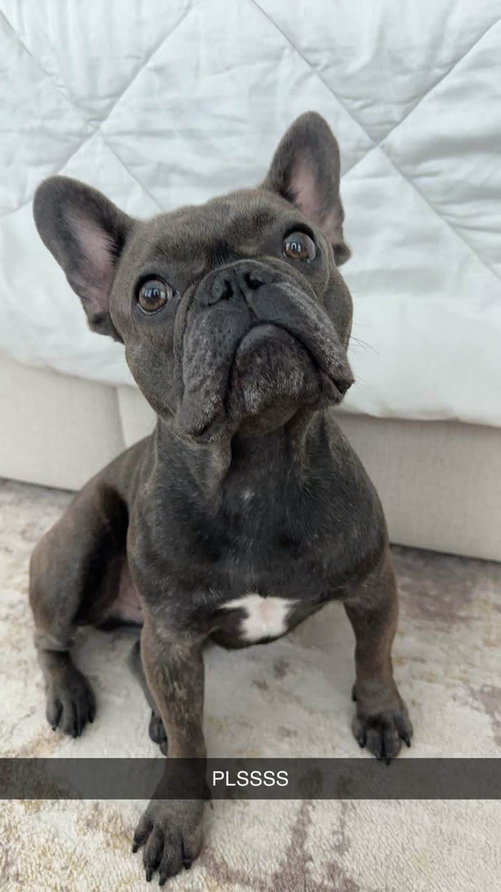 kylaayese snapchat image archive image