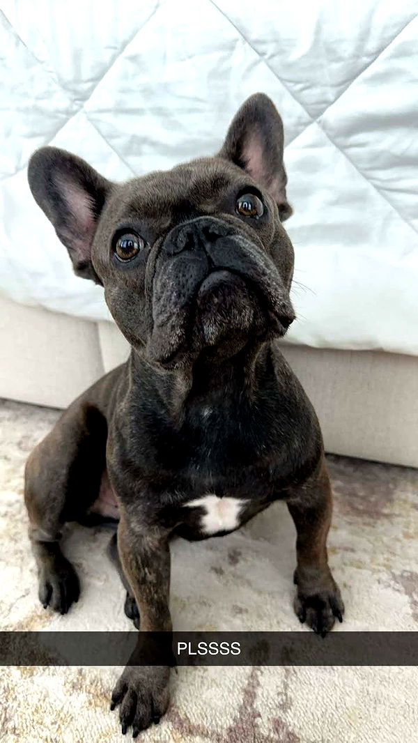 kylaayese image ~ Altpins