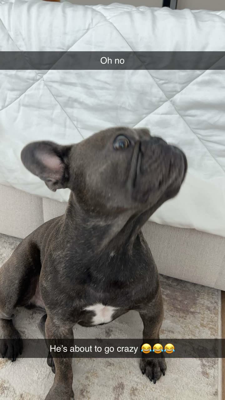 kylaayese snapchat image archive image