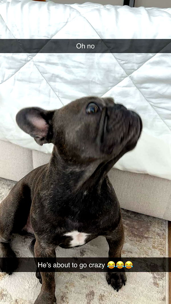 kylaayese image ~ Altpins