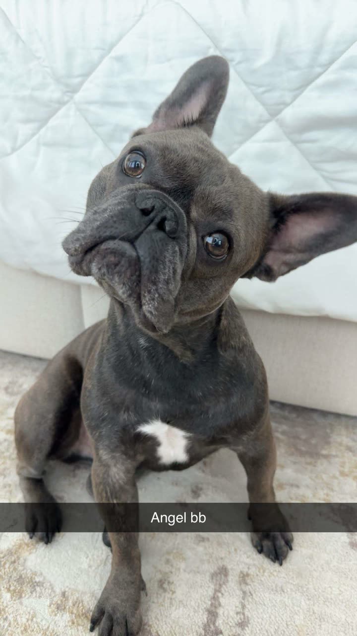 kylaayese snapchat image archive image