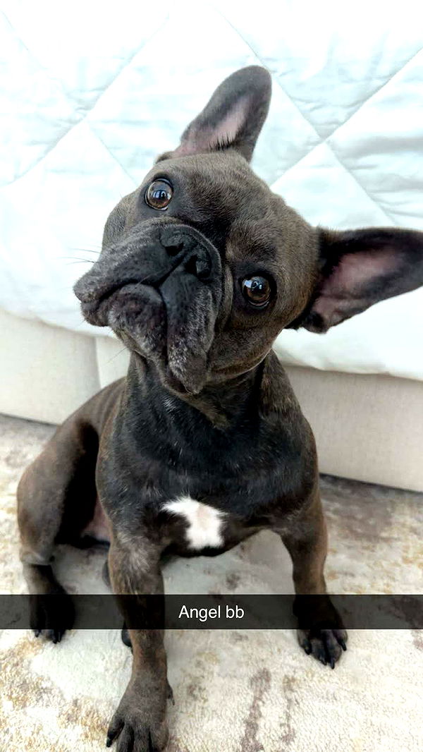 kylaayese image ~ Altpins