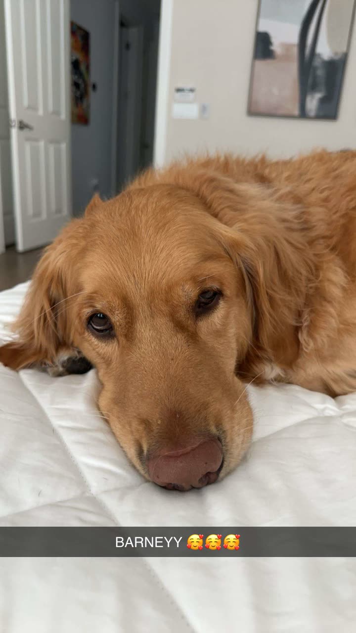 kylaayese snapchat image archive image