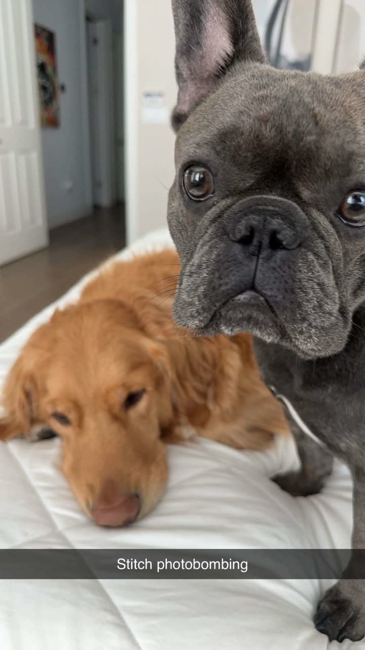 kylaayese snapchat image archive image