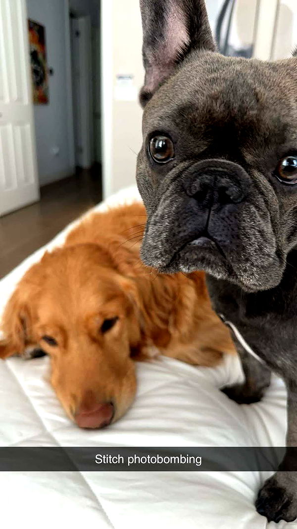 kylaayese image ~ Altpins