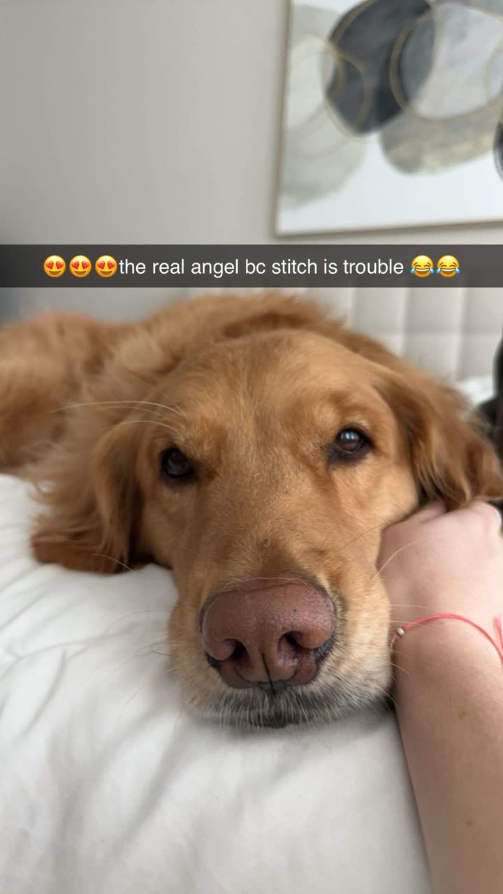 kylaayese snapchat image archive image