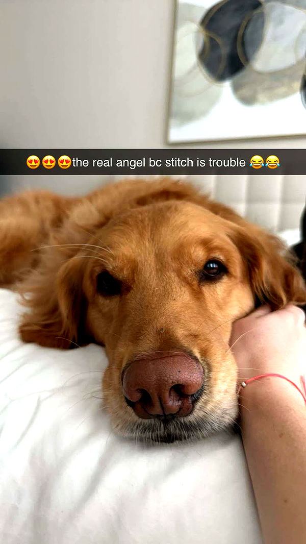 kylaayese image ~ Altpins