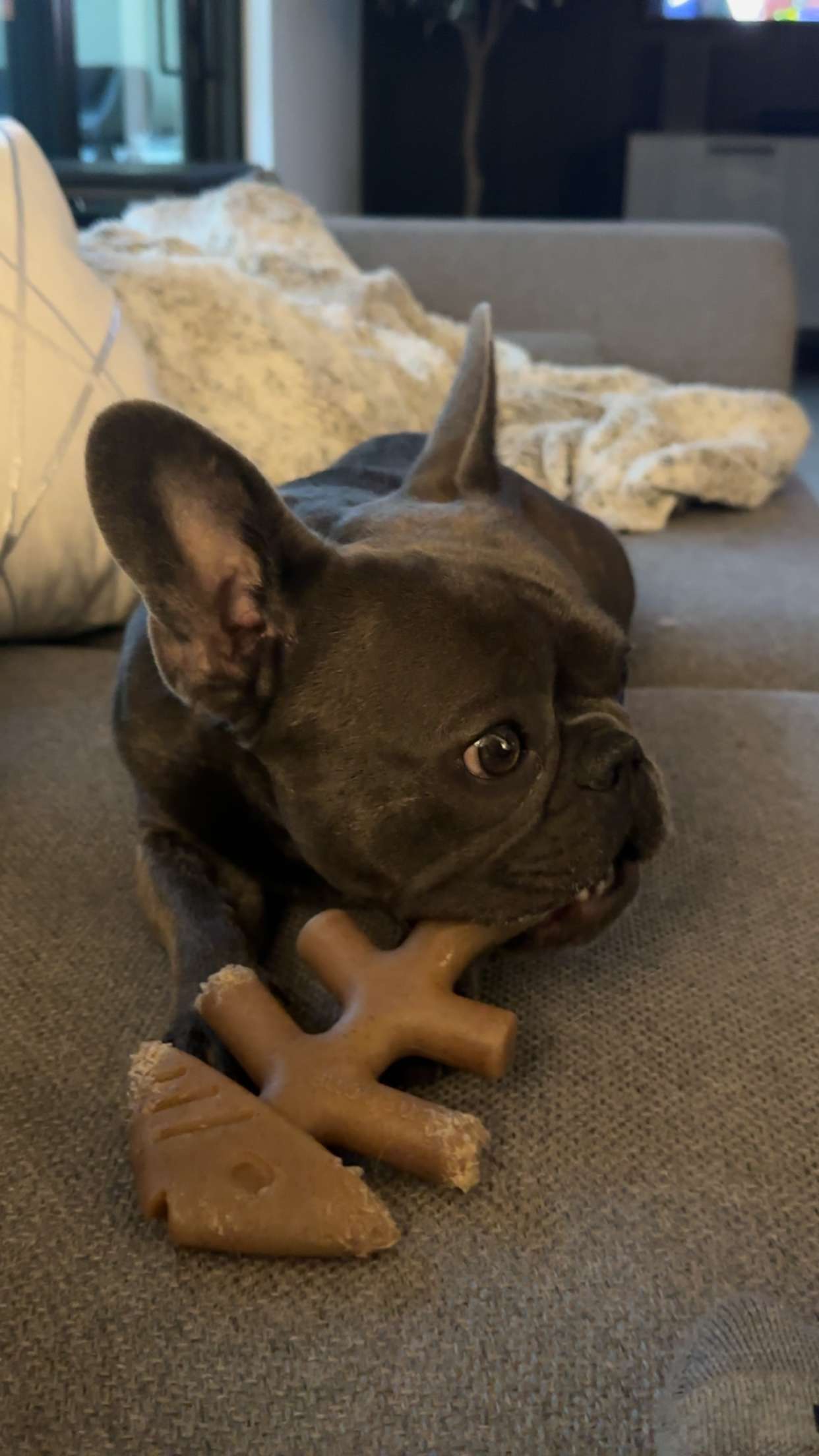 kylaayese snapchat image archive image