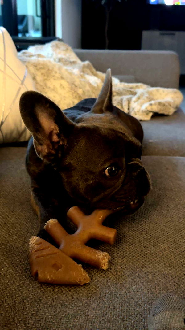 kylaayese image ~ Altpins