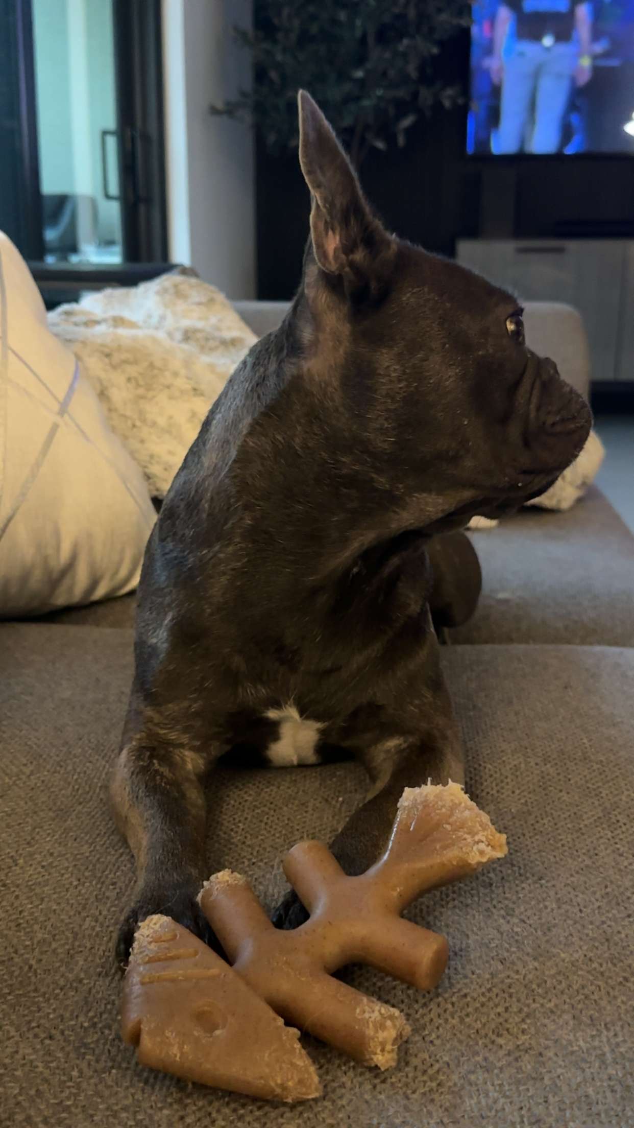 kylaayese snapchat image archive image