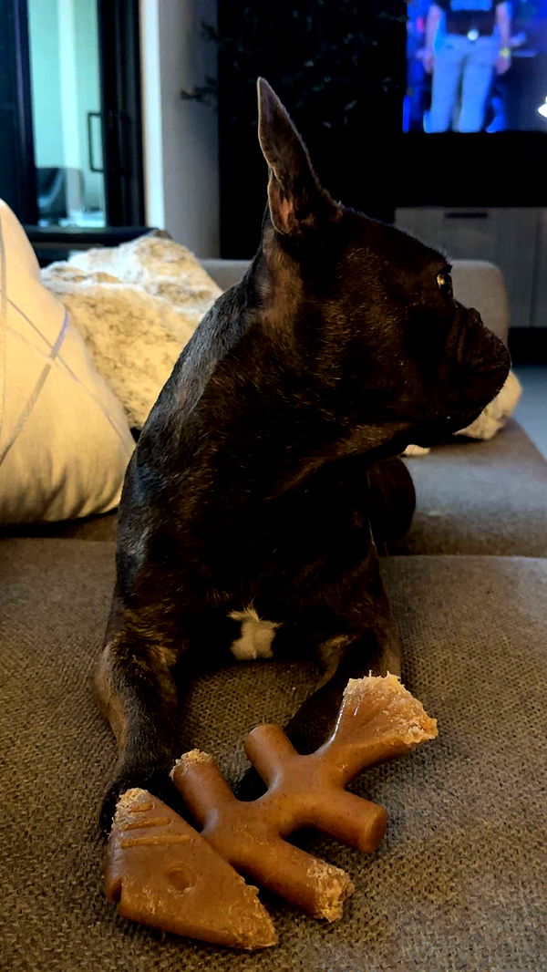 kylaayese image ~ Altpins