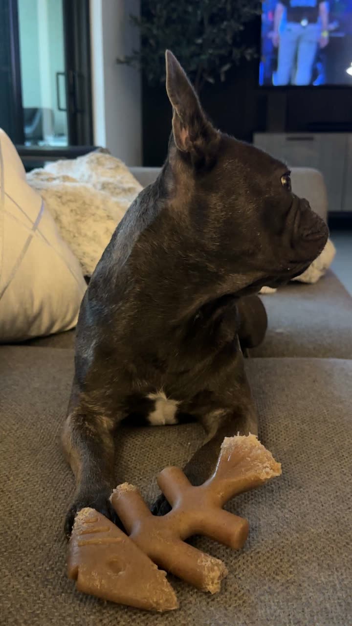 kylaayese snapchat image archive image