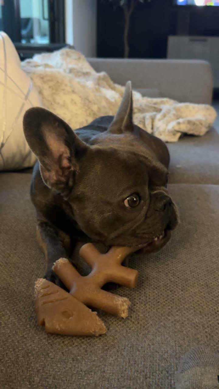 kylaayese snapchat image archive image