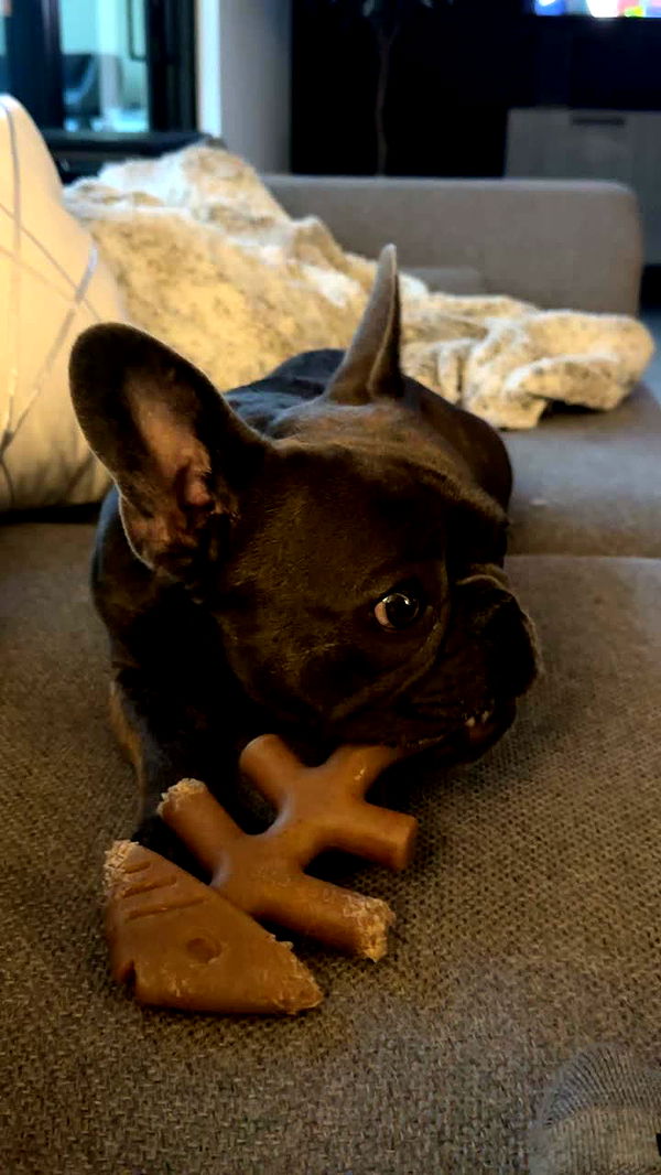 kylaayese image ~ Altpins