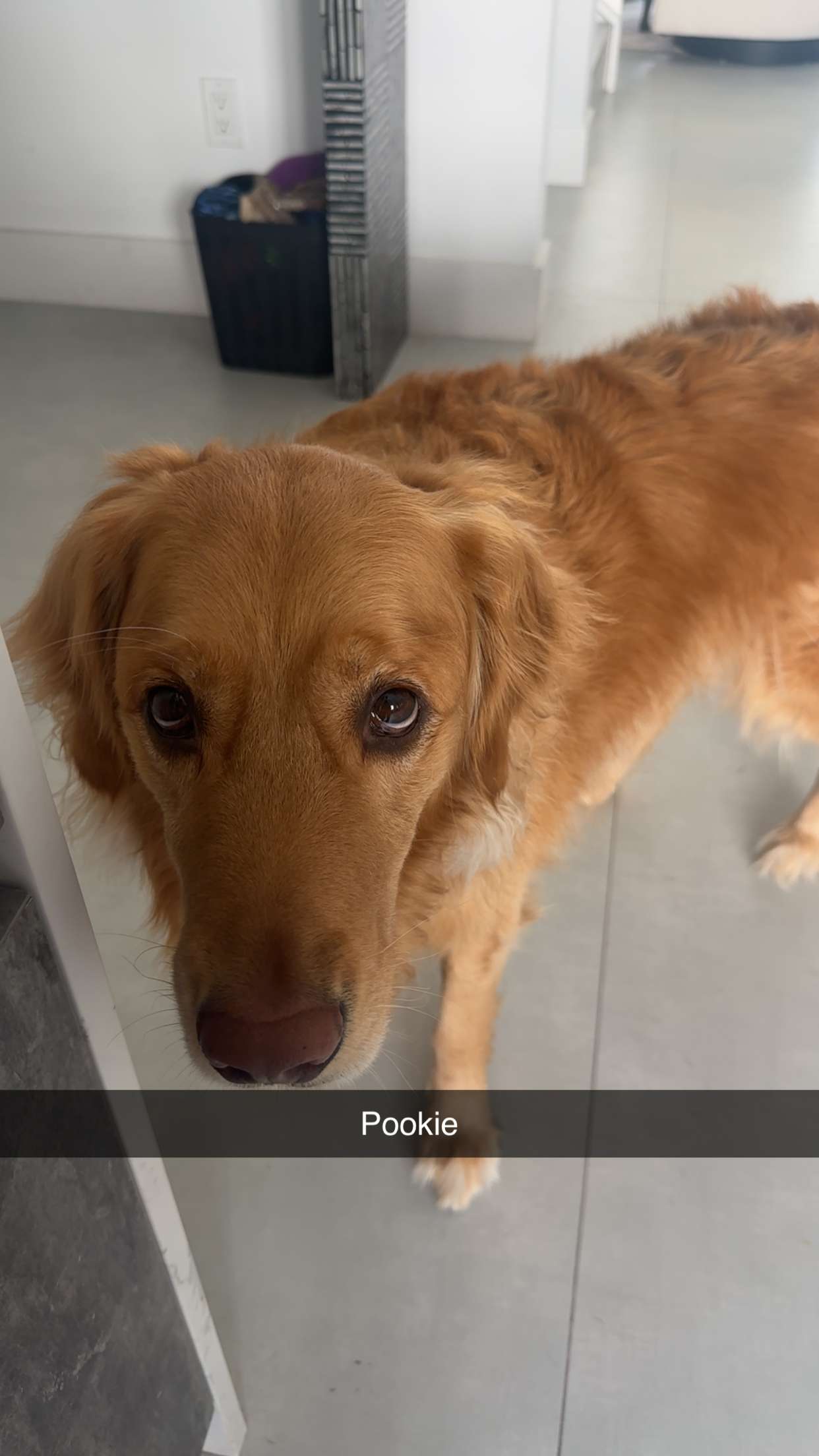 kylaayese snapchat image archive image