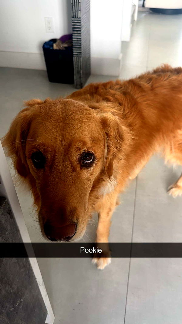 kylaayese image ~ Altpins