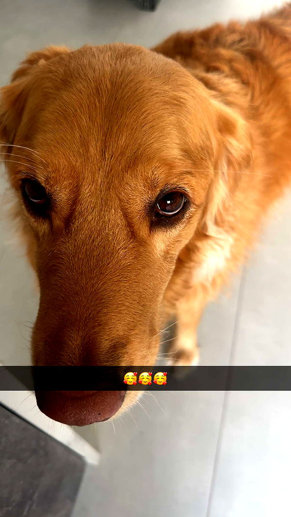 kylaayese image ~ Altpins