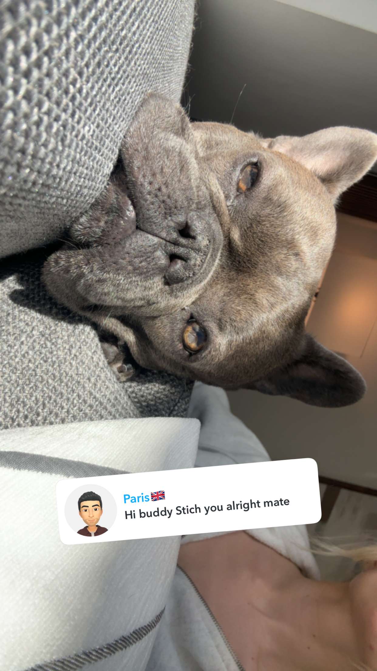 kylaayese snapchat image archive image