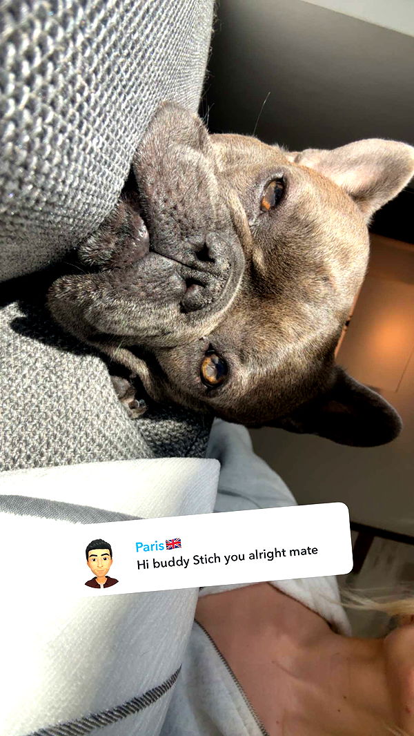 kylaayese image ~ Altpins