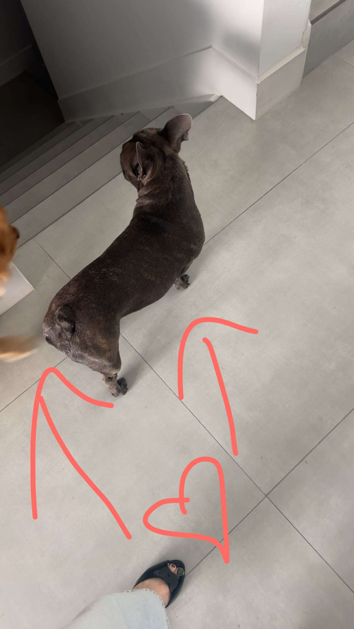 kylaayese snapchat image archive image