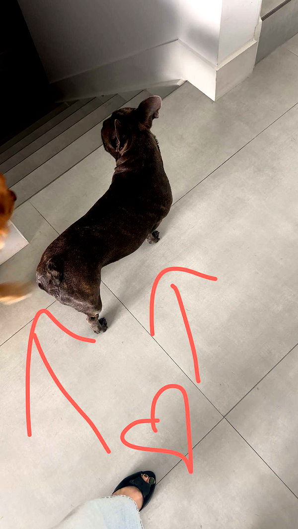 kylaayese image ~ Altpins