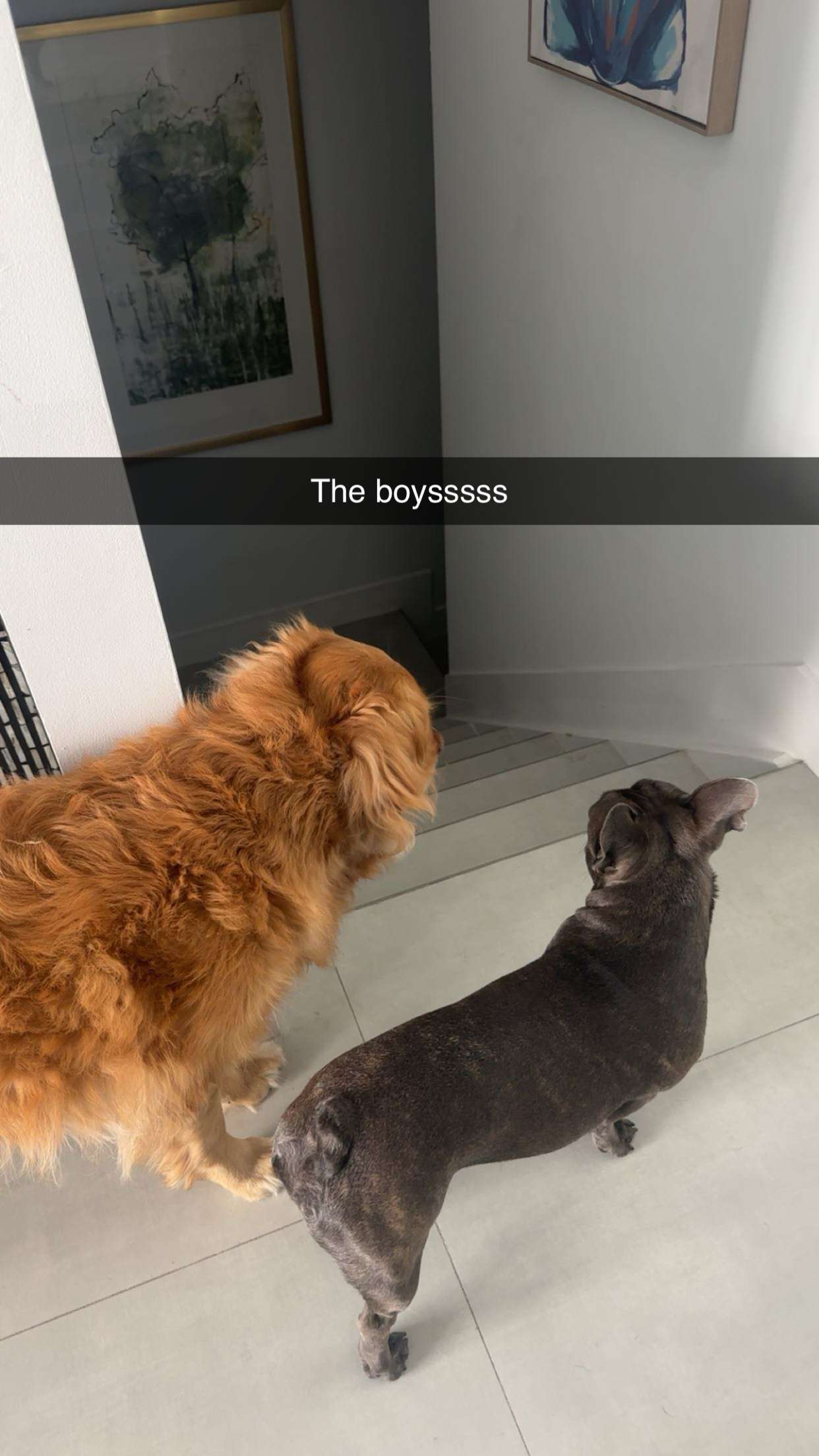 kylaayese snapchat image archive image