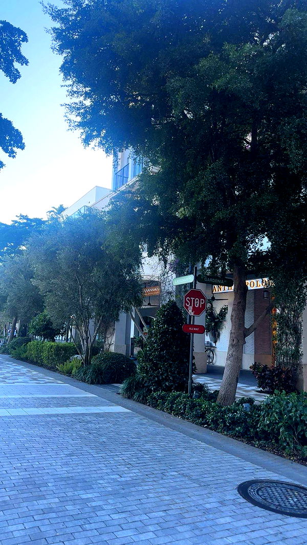 kylaayese image ~ Altpins