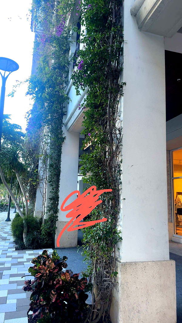 kylaayese image ~ Altpins