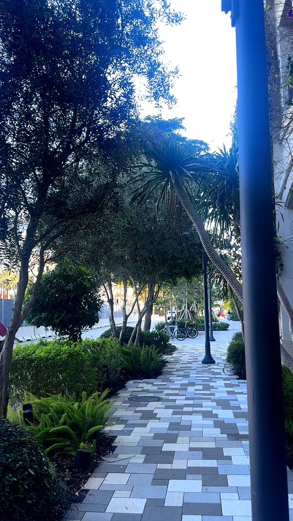 kylaayese image ~ Altpins