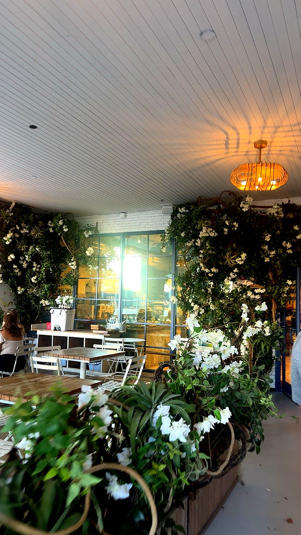 kylaayese image ~ Altpins