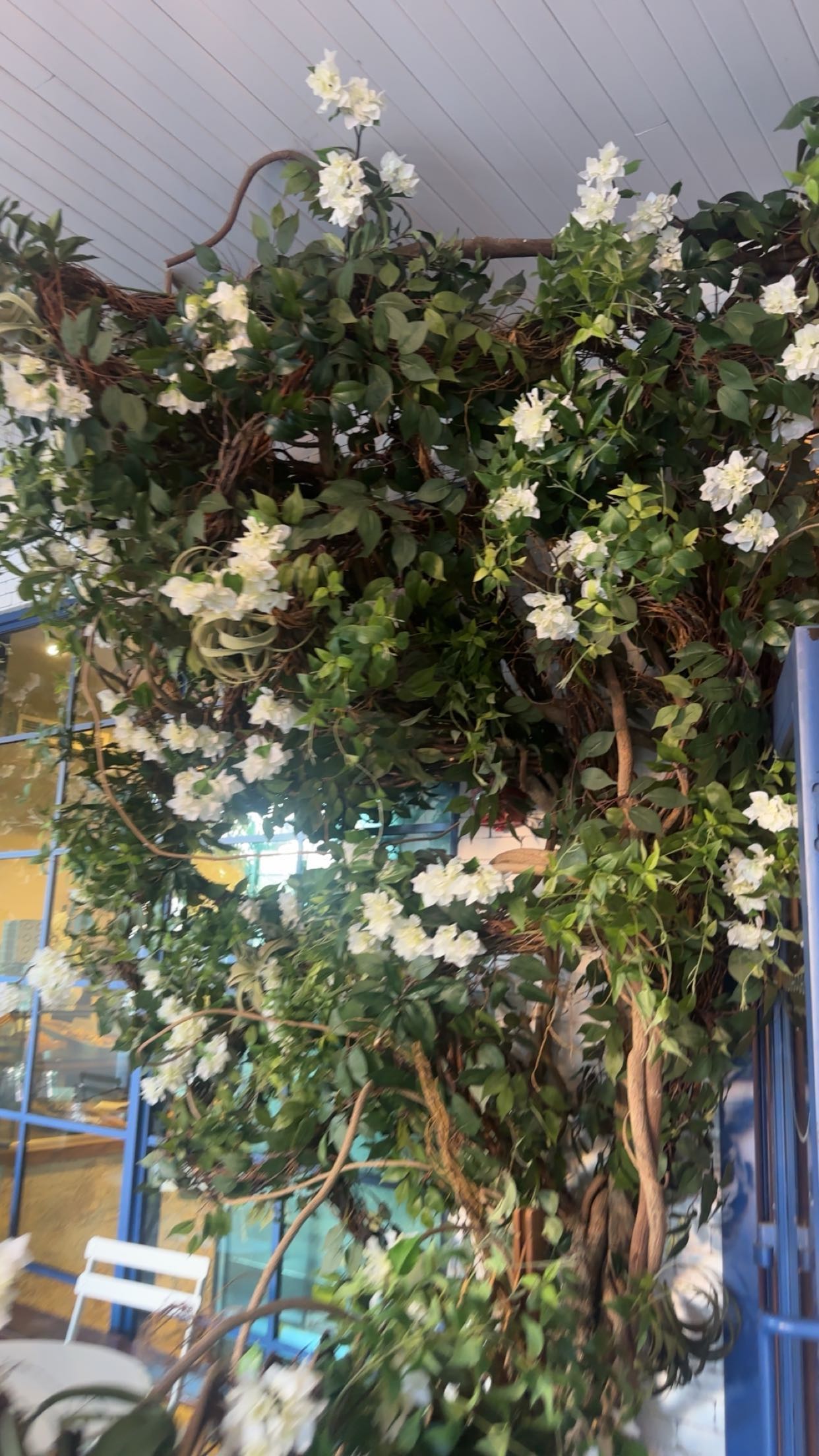 kylaayese snapchat image archive image