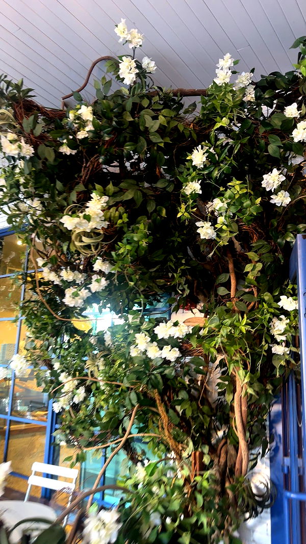 kylaayese image ~ Altpins